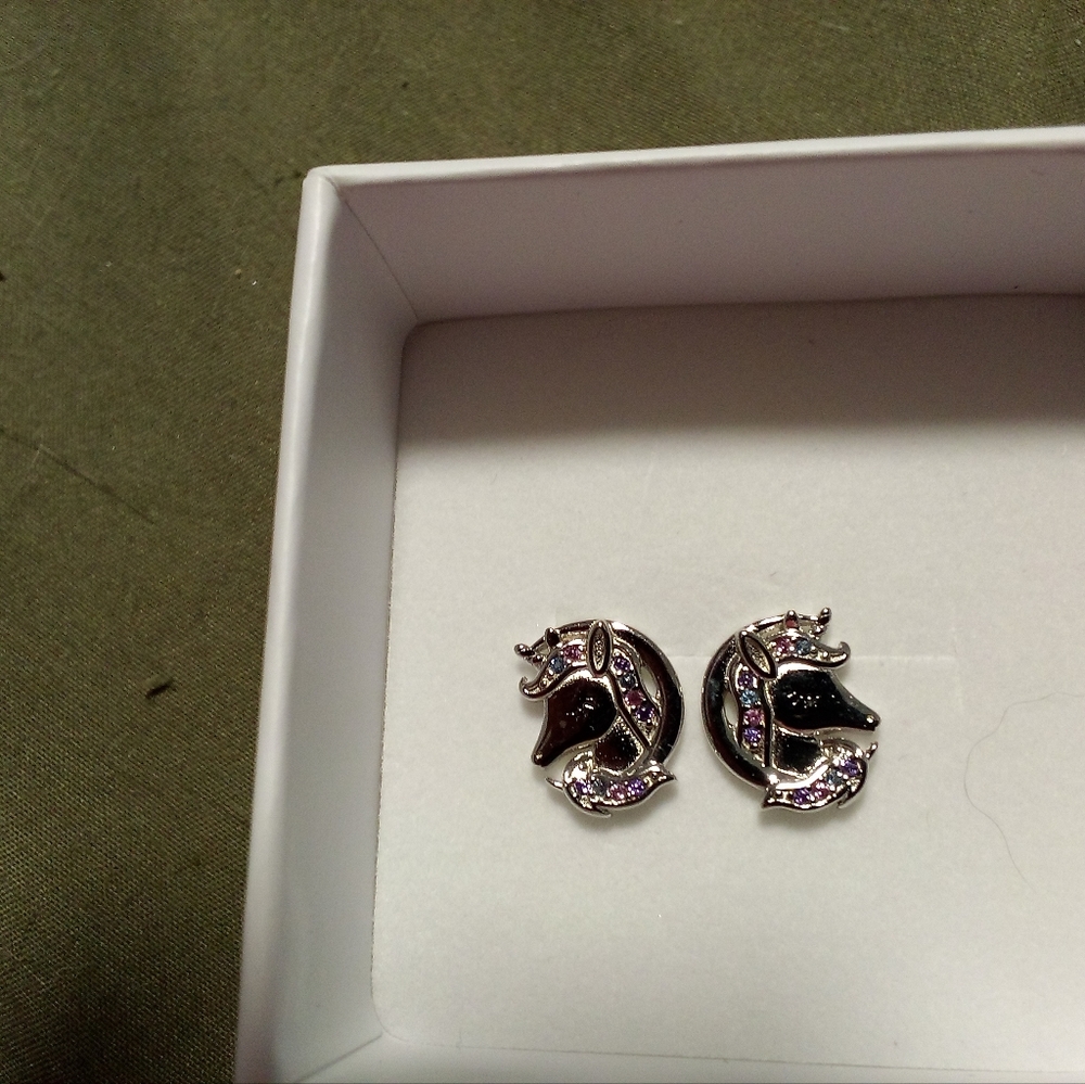 Sterling Earrings